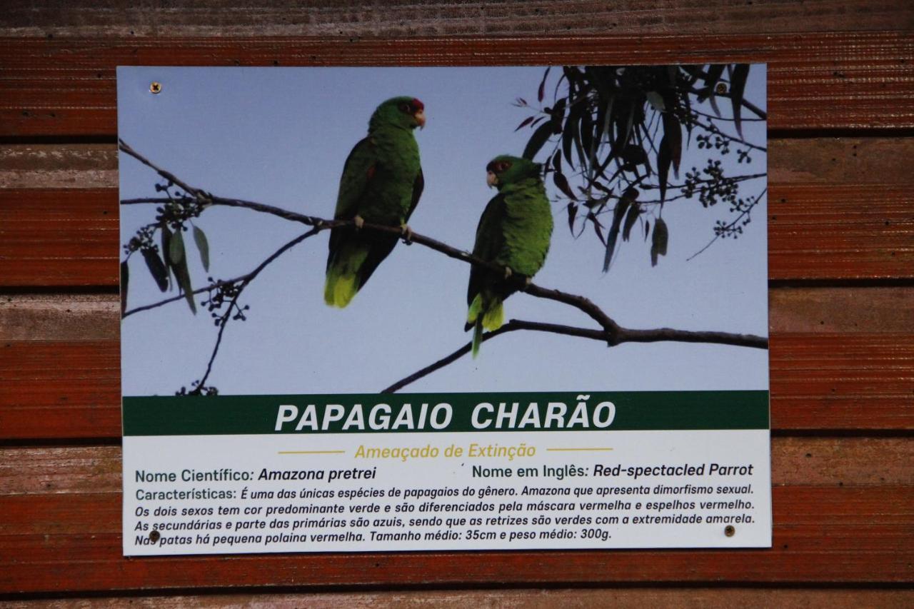 Recanto Da Mata Pousada São Francisco de Paula Exterior foto
