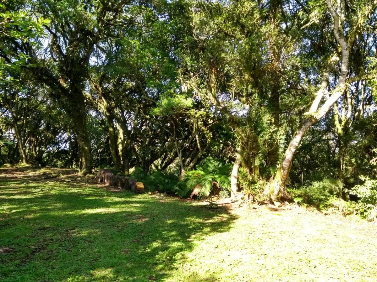 Recanto Da Mata Pousada São Francisco de Paula Exterior foto