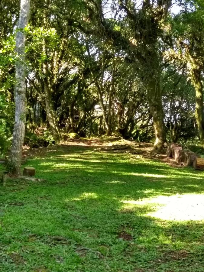 Recanto Da Mata Pousada São Francisco de Paula Exterior foto