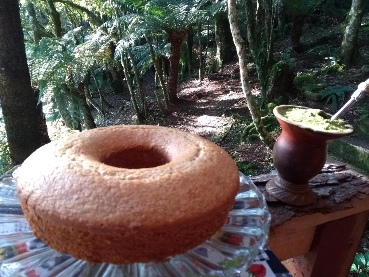 Recanto Da Mata Pousada São Francisco de Paula Exterior foto